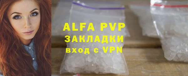 молекула духа Новодвинск