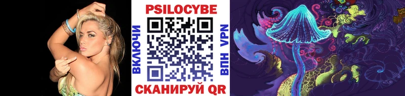 Купить  Змеиногорск  Псилоцибиновые грибы мухоморы 